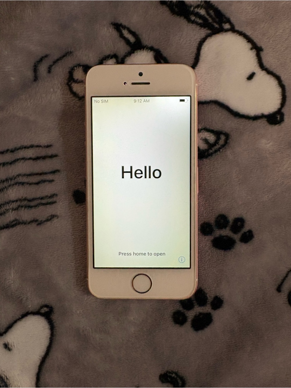 iPhone SE 1st Gen 2016 Rose Gold Damaged but still works
